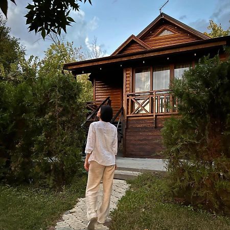 Poiana Bradului Complex Hotelier & Restaurant Colonita Ngoại thất bức ảnh